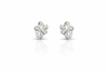 Silver Blossom Crystal Drop Studs